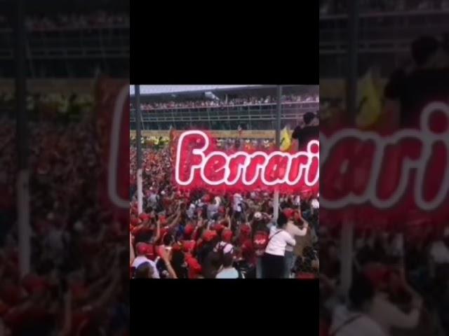 Tifosi #Tifosi #ferrari #f1