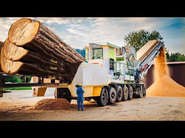 Amazing Dangerous Big Tree Shredder Wood Chipping Equipment Working, Fastest Stump Removal Crusher