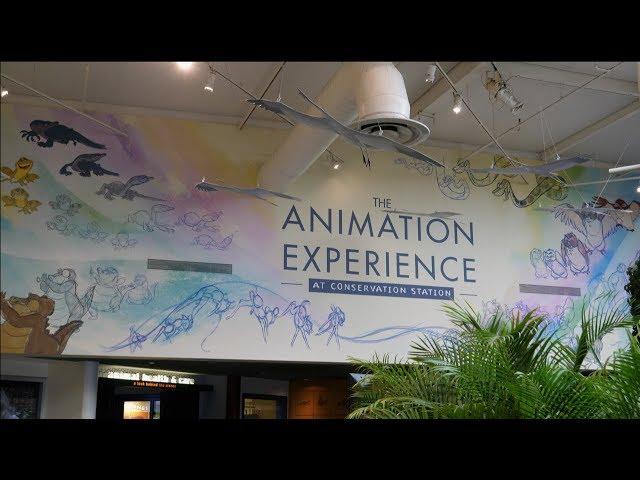 The Animation Experience at Conservation Station in 4K | Disney's Animal Kingdom Walt Disney World