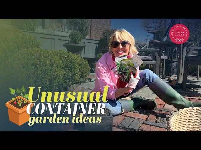 Lets Try Some Unusual Container Garden Ideas 🪴🪴