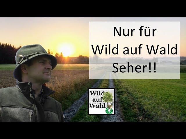 Wild auf Wald privat - 10.000 Personen only!