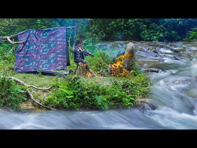 Solo Camping by a Stream, Relaxing and Roast Beef With The Sound of Nature, ASMR