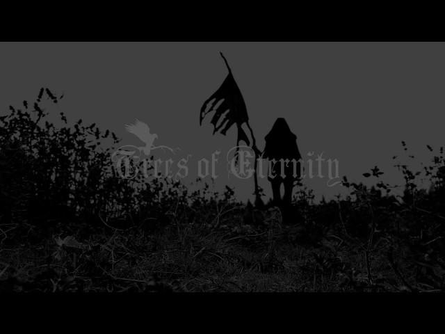 Trees of Eternity: A Million Tears (Official Lyric Video)