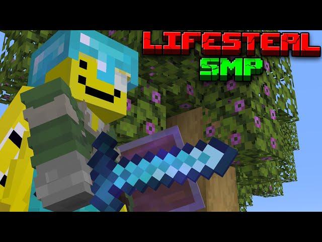 GREYS. *** [Lifesteal SMP] !lore !merch