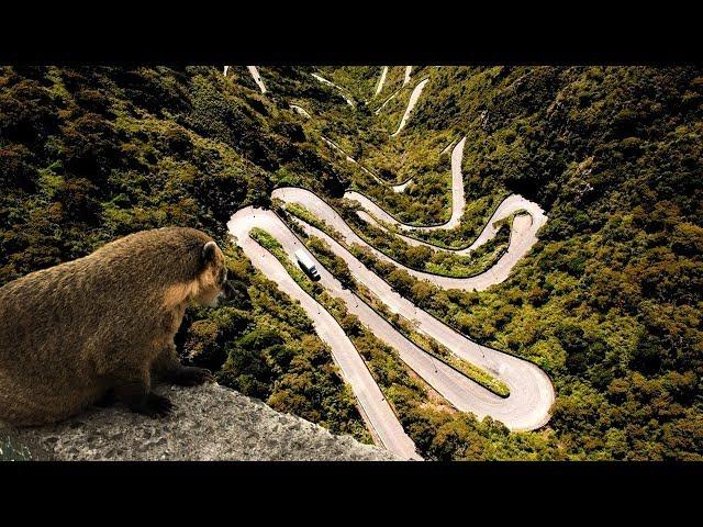 LA CARRETERA MÁS SINUOSA Y ESCALOFRIANTE AL SUR DE BRASIL