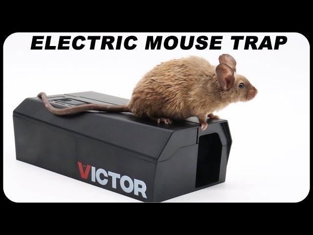 Works Shockingly Well - The Newly Redesigned VICTOR Electronic Mouse Trap Is Great. Mousetrap Monday