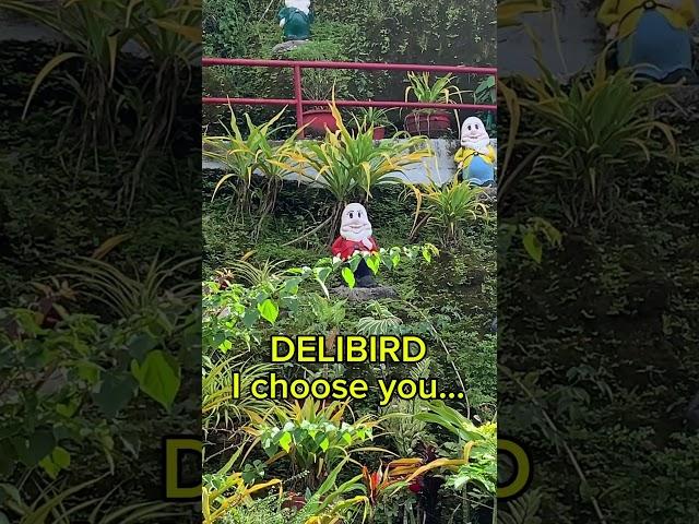 DELIBIRD, is that you?