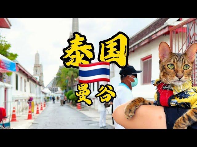 [二丫在欧洲]亚洲篇#曼谷#泰国#THAILAND#BANGKOK#2024#二丫私人定制游#度假胜地#旅游#自由行#二丫在欧洲#环游世界的猫#环游欧洲的猫