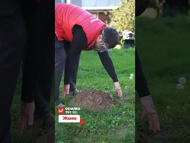 Крот и Михалыч #дом #дача #лайфхаки