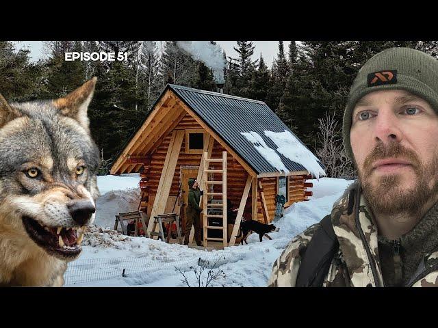 WOLVES, Loft Floor, New Stairs |EP51| Log Cabin Build on Off-Grid Homestead