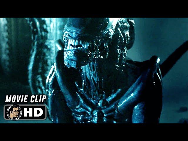 AVP: ALIEN VS. PREDATOR Clip - "Xenomorph Kills Predator" (2004)