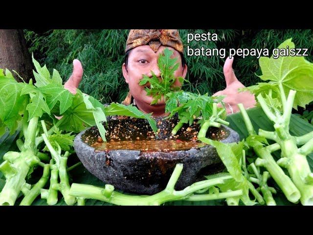 RUJAK BATANG PEPAYA MENTAH ||eating papaya tree MUKBANG LALAPAN MENTAH