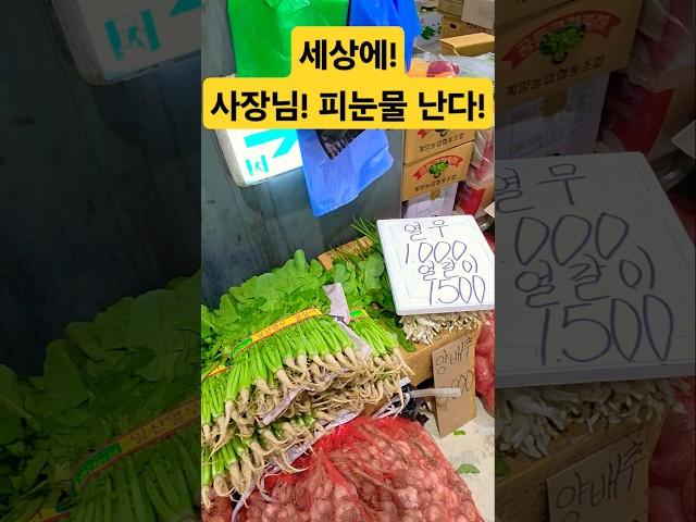 사장님! 피눈물 난다! 미치갰네! #시장 #폭락 #food #먹방 #먹고리 #할인