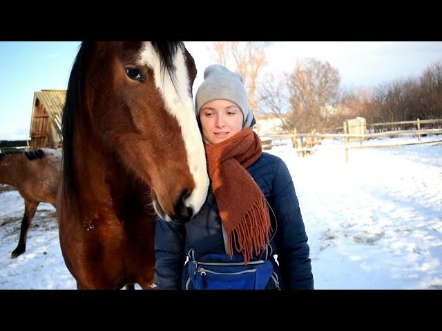 КУПИЛИ ДОМ В ДЕРЕВНЕ. ЗИМНИЙ ДЕНЬ В ХОЗЯЙСТВЕ