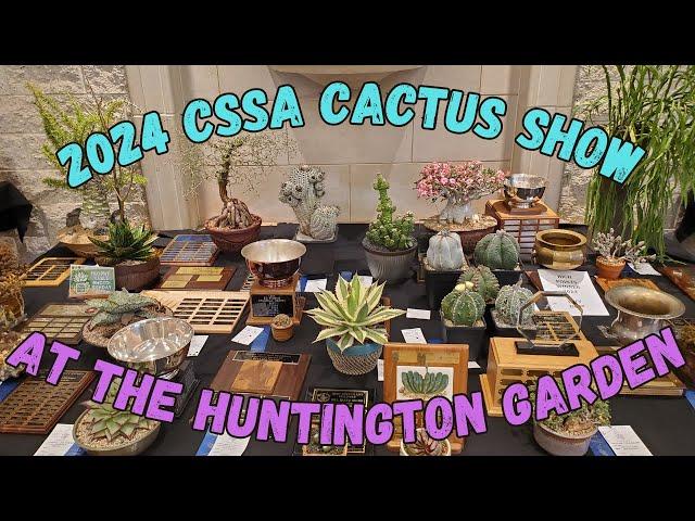 2024 Huntington Cactus Show (Mammillaria, Ariocarpus, Aztekium, Rebutia and More!)