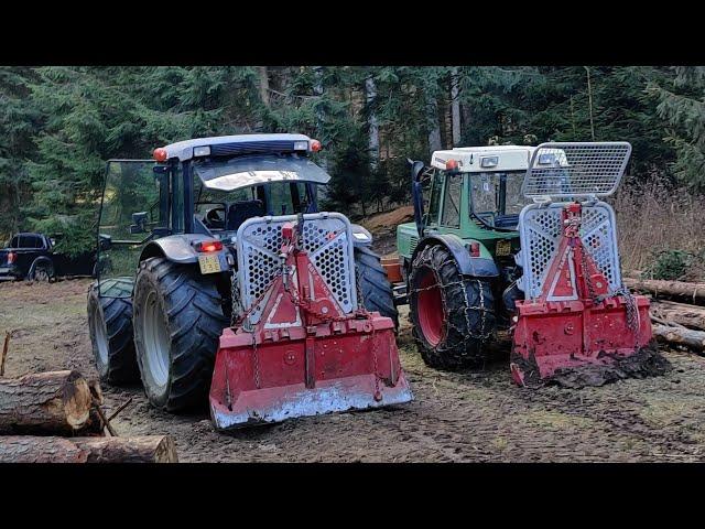 Käferjagd hat begonnen|Forstarbeit Extrem  | Lamborghini & Tajfun |