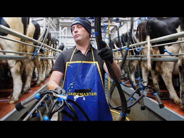 Eddie Walsh milking on a 20 unit Swing Parlour