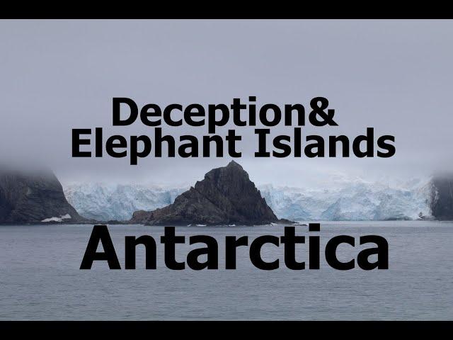 Antarctica - Boring Deception & Elephant islands, with a surprise polar plunge in the middle
