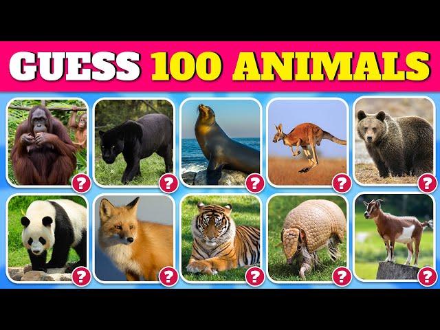 Guess 100 Animals in 3 Seconds | Easy, Medium, Hard, Impossible