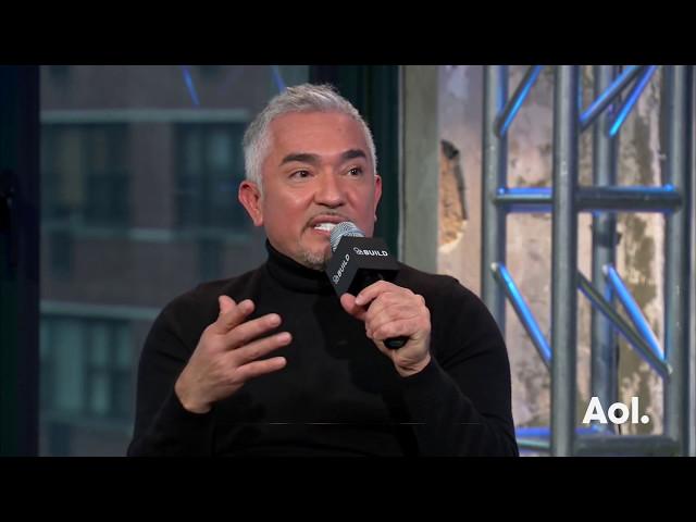 Cesar Milan On “Cesar 911” | AOL BUILD