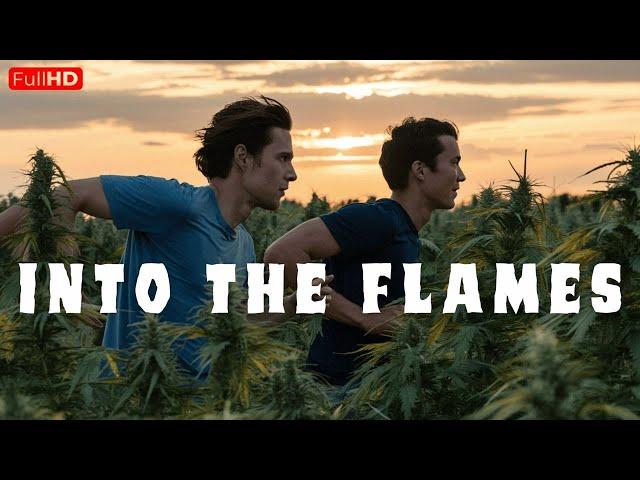 Best Comedy Movie | After a Robbery, They Flee to a House That Turns Out To Be a Cannabis Grow House