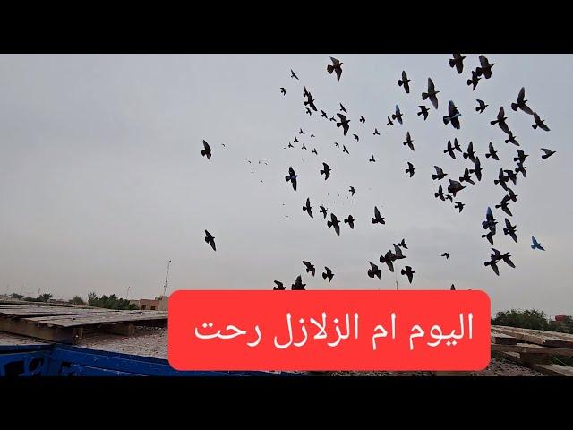 الحلقه 15 يوميات سطح فارس الكربلائي 2 رجعت نقص 2