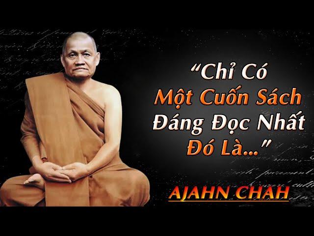 Những lời dạy của Thiền Sư AJAHN CHAH sẽ đưa bạn đến cảnh giới GIÁC NGỘ không ngờ!