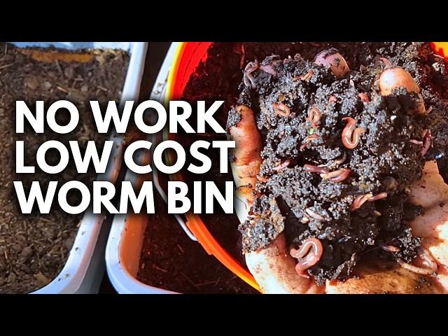 Effortless Worm Composting: A System You Only Touch Every 3 Months!