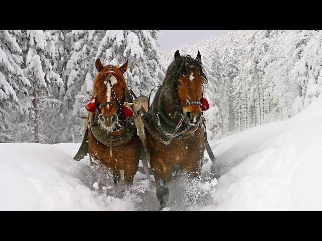 Celtic Christmas Carols, Soft Holiday Christmas Music "Winter Sleigh Ride" Open Road Folk Music