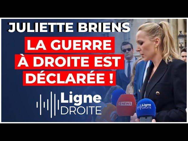 Législatives : l'incroyable chaos politique provoqué par la dissolution - Juliette Briens