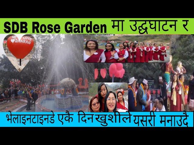 SDB Rose Garden को उद्घघाटन प्रेम दिवसको दिन  दिदिबहिनीहरु यसरी खुशीले रमाउदै सेल्फी खिच्दै ....