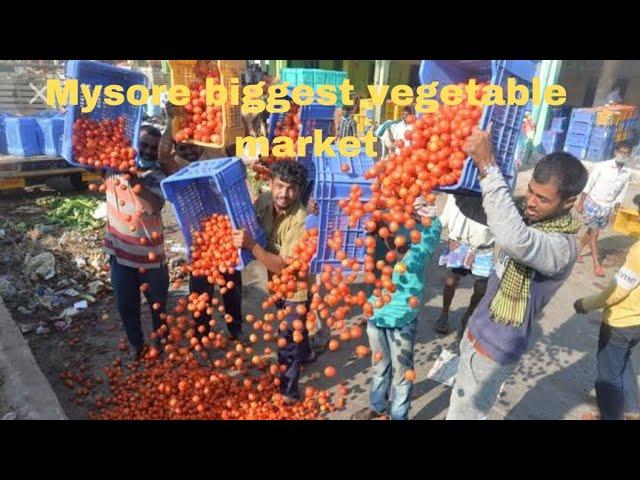 Karnataka biggest vegetable market in Mysore/bandipalya market/Mysore Sulthan