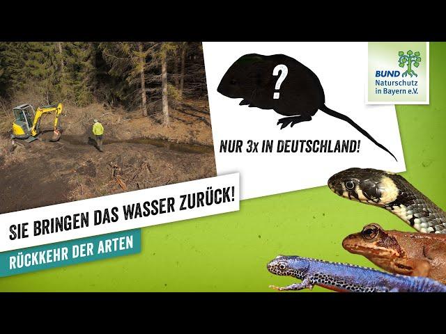 Bachrenaturierung am Grünen Band I BUND Naturschutz