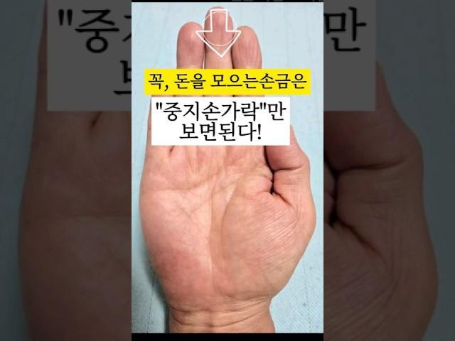 꼭!돈모으는손금은중지손가락만 보면된다.돈을 잘모아서 결국부자되는손금 #손금 #손금보기 #손금보는법