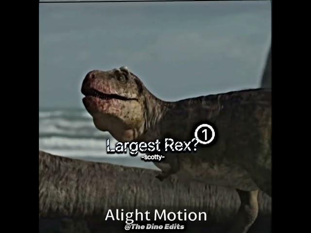 The Largest Rex? - T.Rex Edit | NEXT! (T.Rex Discovery Anniversary Day) #shorts