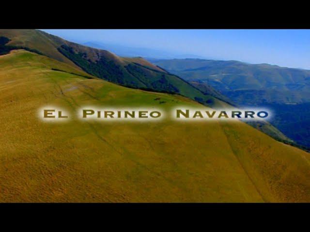 EL PIRINEO NAVARRO