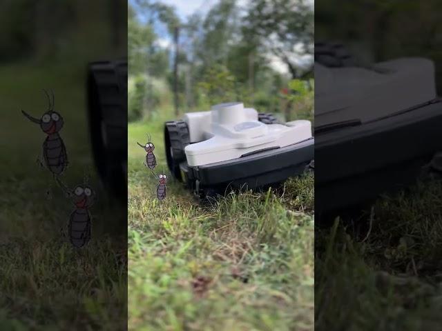 ROBOT KOSZĄCY, KOSIARKA AUTOMATYCZNA, TRAWNIK, OGRÓD, KOSZENIE TRAWY, ŚLĄSK, AMBROGIO