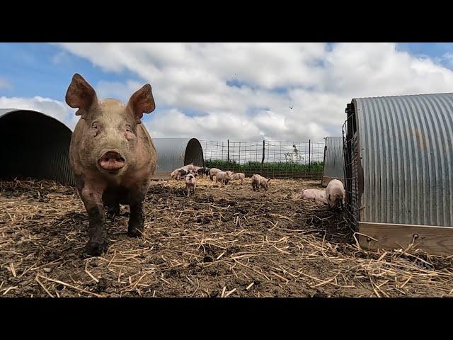 Boor Family Farm | Iowa Life