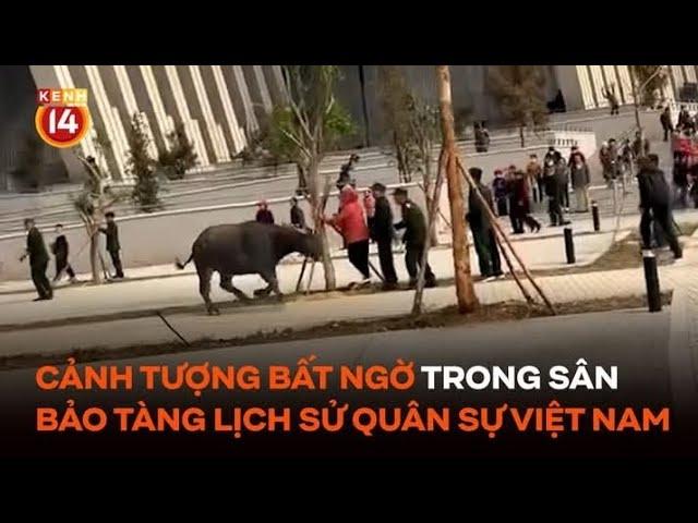 Cảnh tượng bất ngờ trong sân Bảo tàng Lịch sử Quân sự Việt Nam khiến nhiều người giật mình