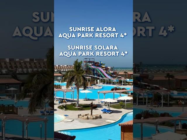 Обзор новых отелей в Хургаде от сети Sunrise. #библиоглобус #египет #travel #отелиегипта