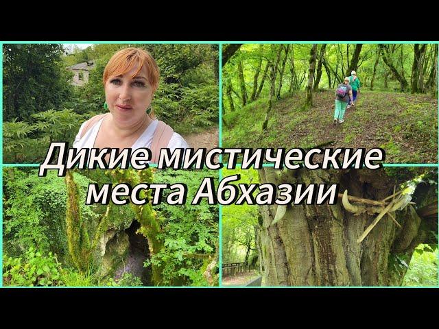Другая Абхазия/Вторая попытка найти крепость Уаз-Абаа/Место для жертвоприношений /Мистический лес