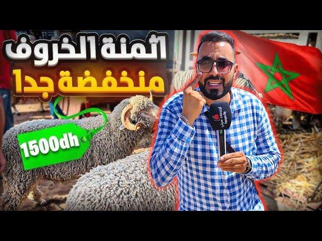 إنهيار غير مسبوق في أثمنة الأغنـام بـ أكبر الأسواق بـ الناظور مع صرخة أسرة في المستشفى Nador