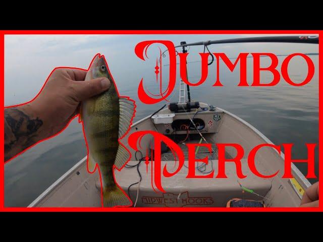 Jigging For Jumbo Lake Erie Perch ( How To Catch Perch )