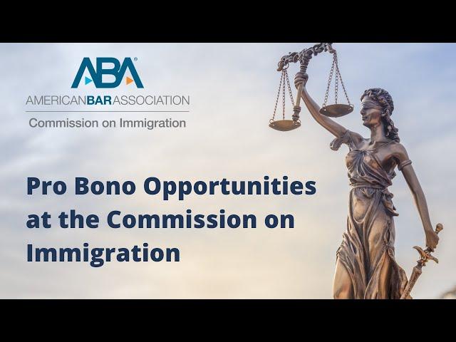 Pro Bono Opportunities at the Commission on Immigration