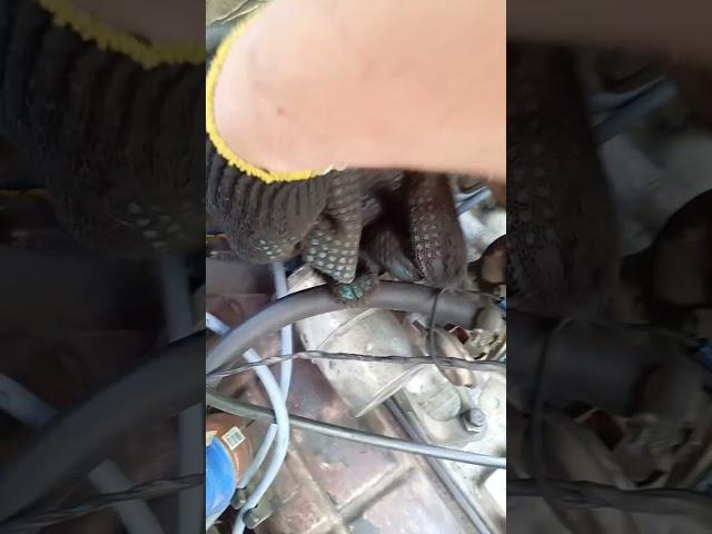 правильное подключение патрубков охлаждения радиатора с гбо . с газом. на газ 3307
