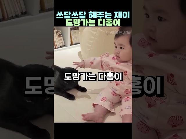 쓰담쓰담 해주는 재이 도망가는 다홍이