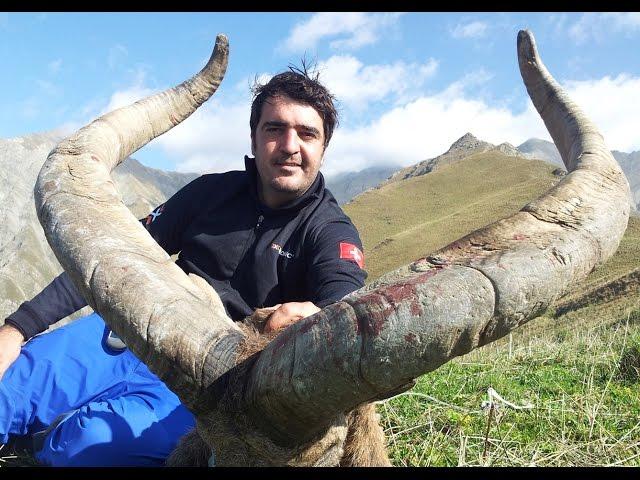 DAGESTAN TUR HUNT (driven hunt) AZERBAIJAN