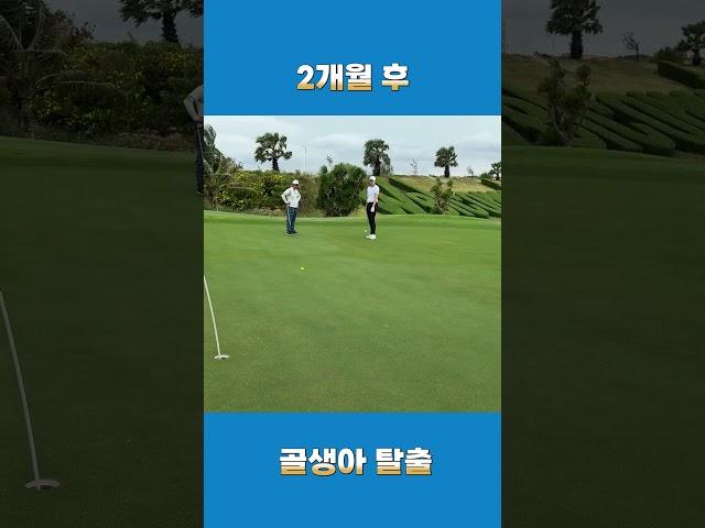 노력은 배반하지 않는다 골생아 탈출 #퍼스트골프 #golf #골프스윙 #골프레슨 #골린이 #golfswing #골린이성장일기#퍼트잘하는법
