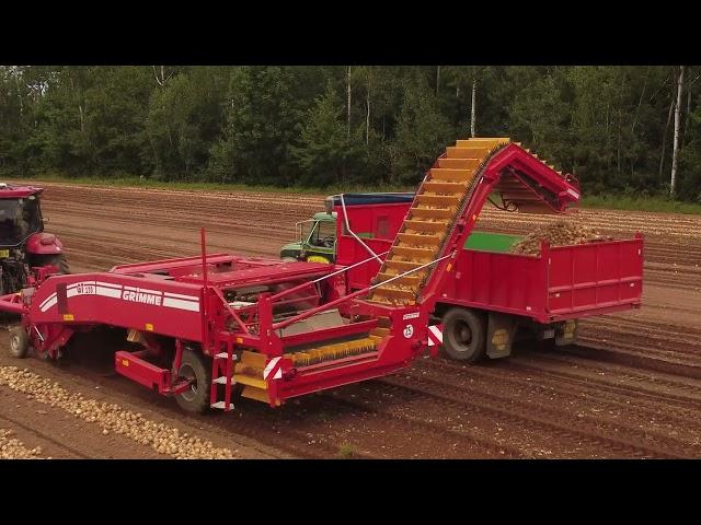 Nova Scotia Onion Harvest 2023