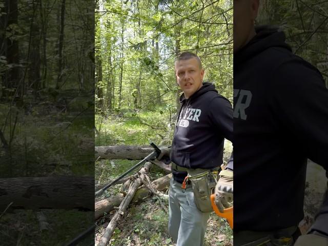 Ювелирка  #находки #metaldetecting #коп #находки #империя #metaldetector #копатель #XPDeus #XPDeus2